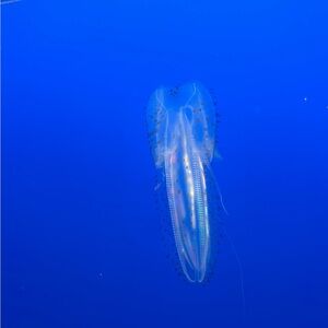 Meet your Posher, Kaitlyn